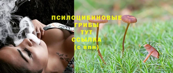 спиды Балабаново