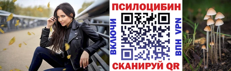 Галлюциногенные грибы MAGIC MUSHROOMS  закладки  Темников 